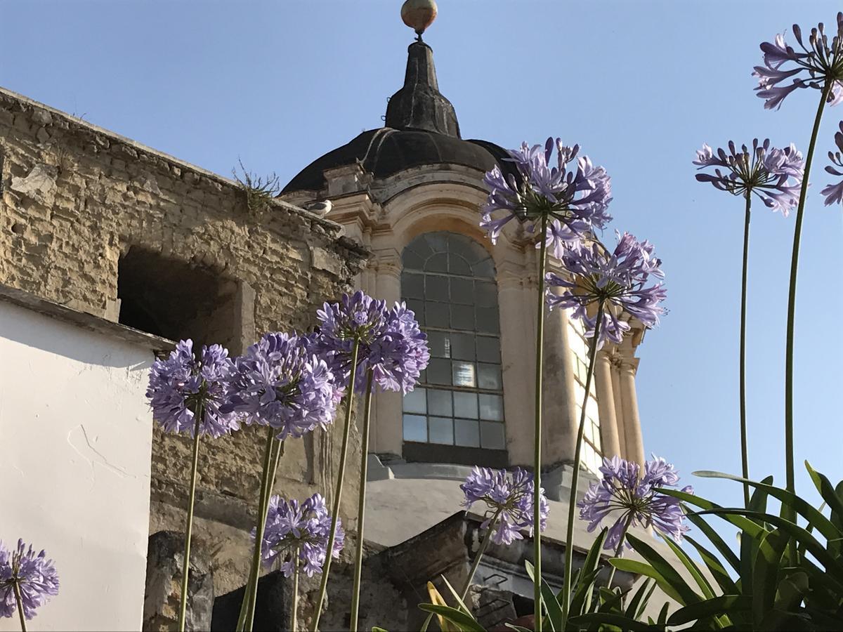 B&B La Terrazza Napoli エクステリア 写真